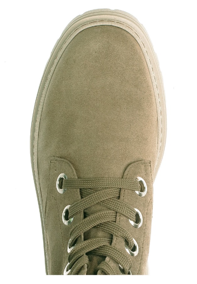 Ankelstøvletter Gabor Salbei/støv